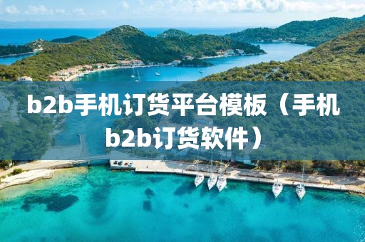 b2b手机订货平台模板（手机b2b订货软件）